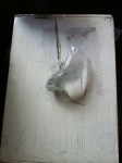 FedExDamage1 FedExDamage1